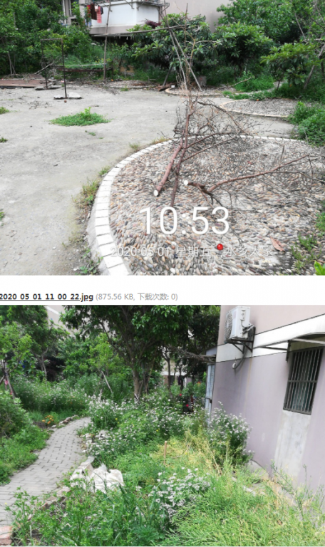 微信图片_20200517090814.png