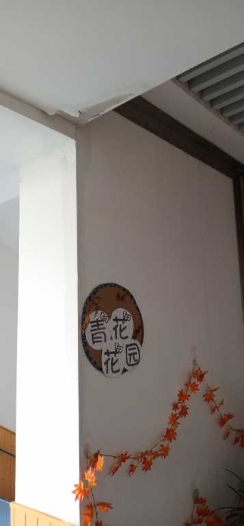 IMG_20200629_074905.jpg