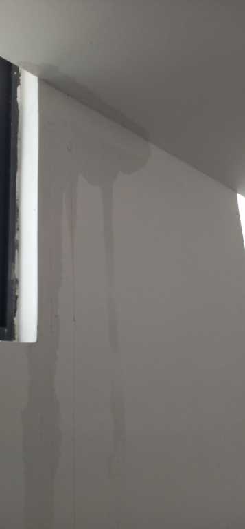 IMG_20200629_081942.jpg