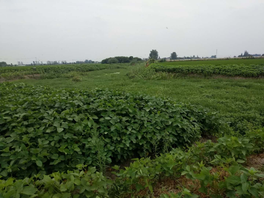 微信图片_20200807191014.jpg