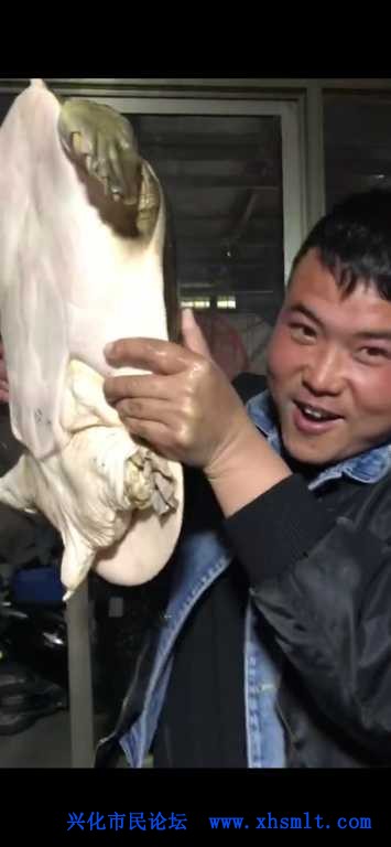 Screenshot_20201022_195535_com.tencent.mm.jpg