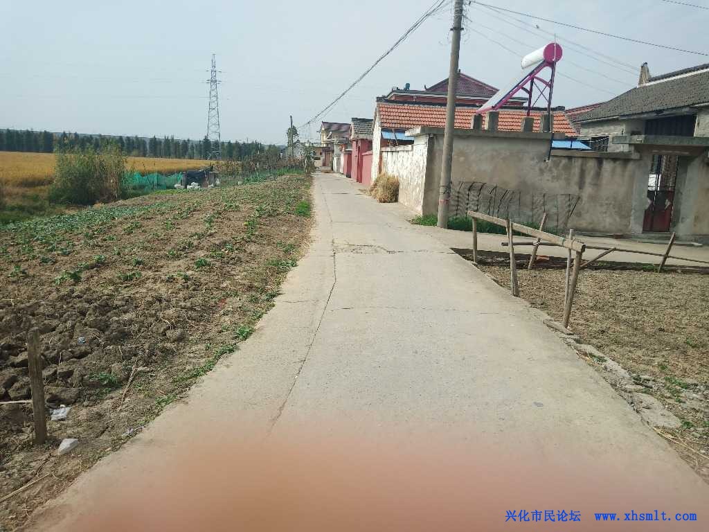 IMG_20201106_121129.jpg