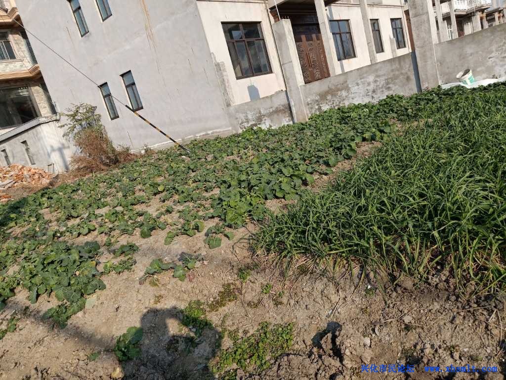 IMG20201222142834.jpg
