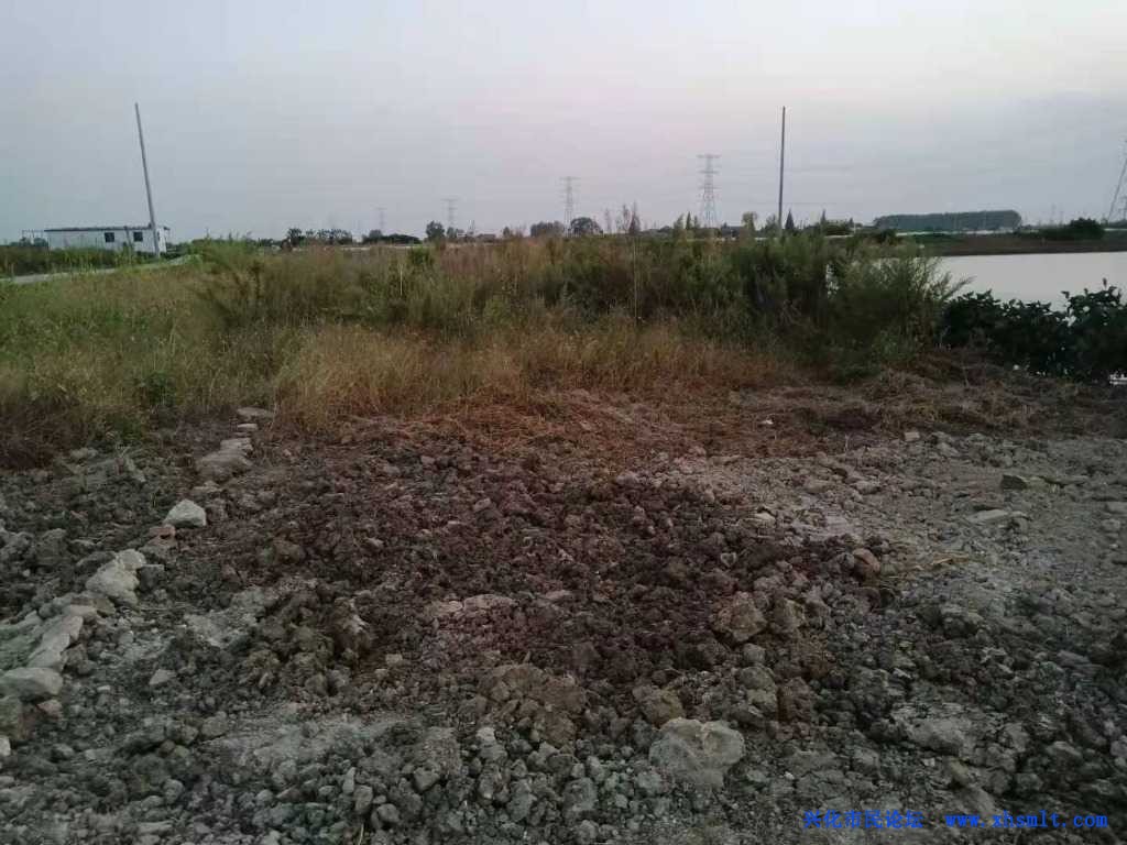 mmexport1609033698136.jpg