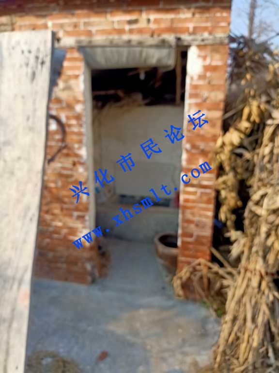 IMG20210203161458.jpg