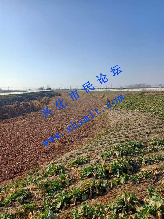 IMG20210204144754.jpg
