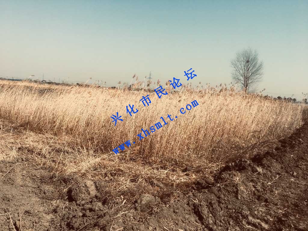 C12CF4BE-F79A-4079-9863-AD4A6D4643E6.jpeg