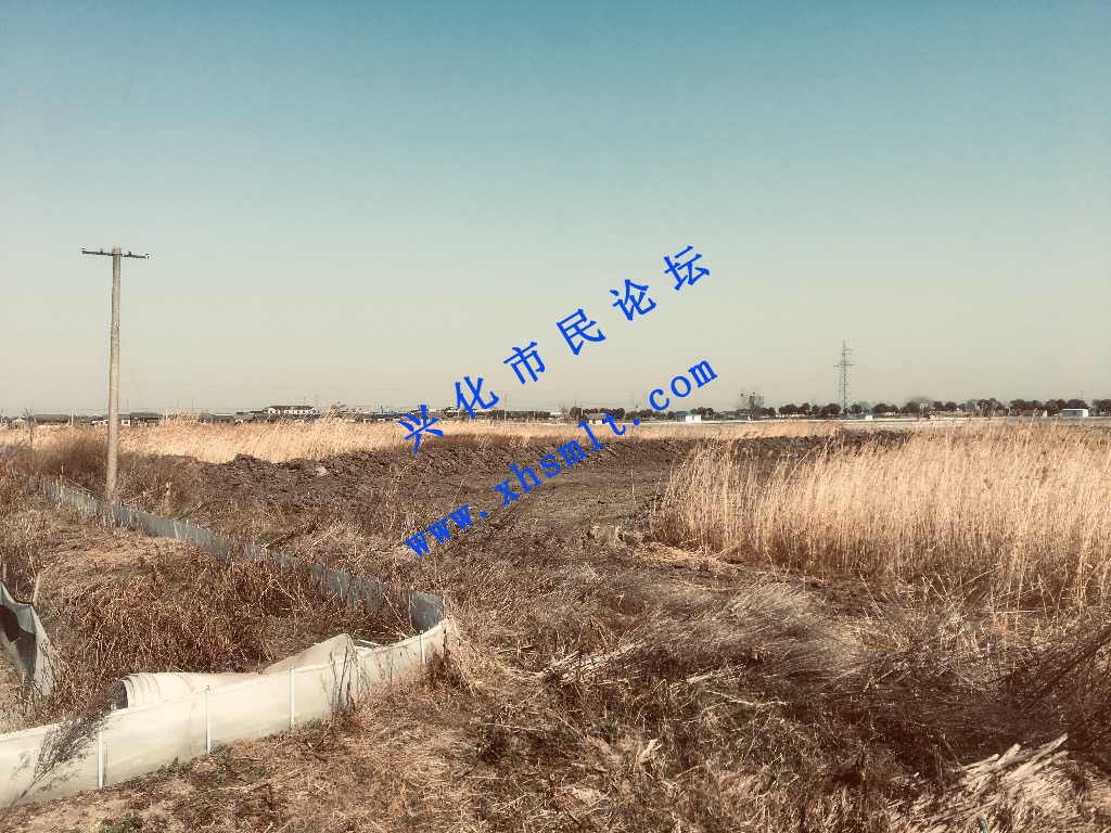 C0117703-1FC3-408C-8861-E362BB10CF4D.jpeg