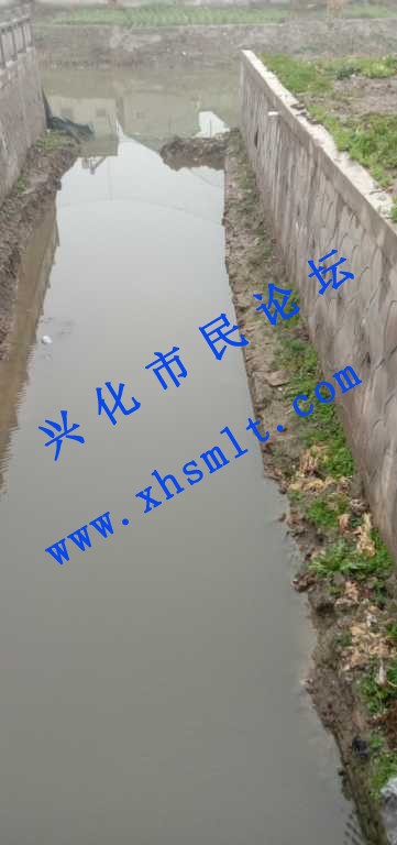 1614553824667.jpg