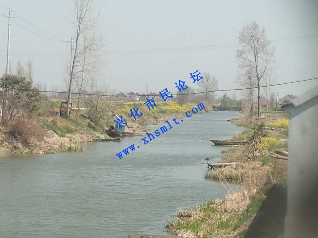 IMG_20210326_130744.jpg