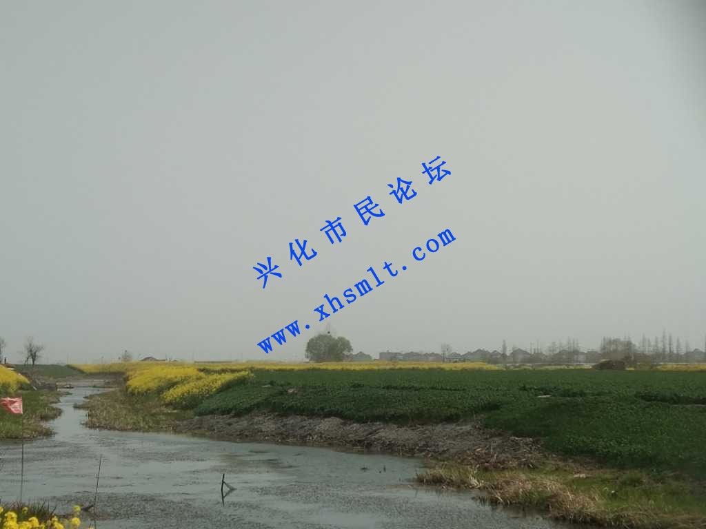 IMG_20210329_125006.jpg