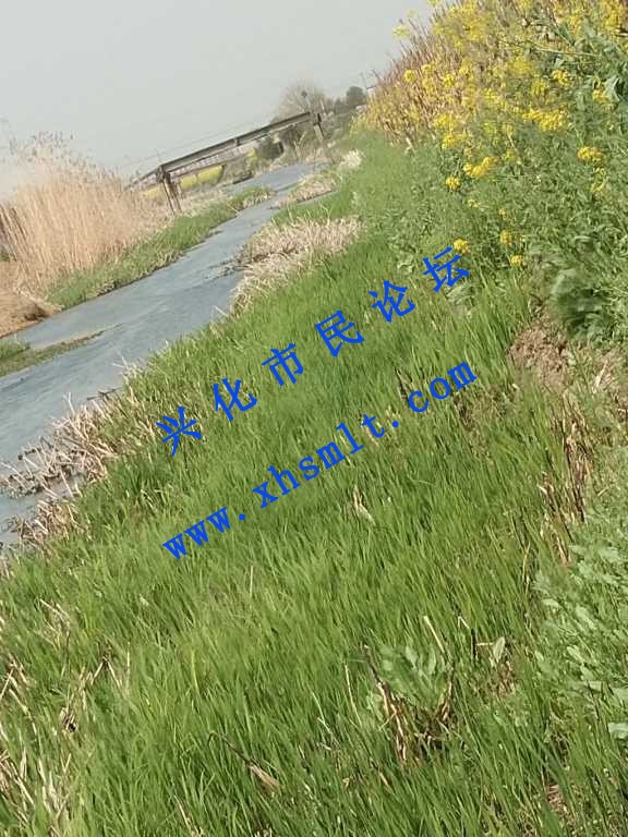 IMG_20210329_095027.jpg