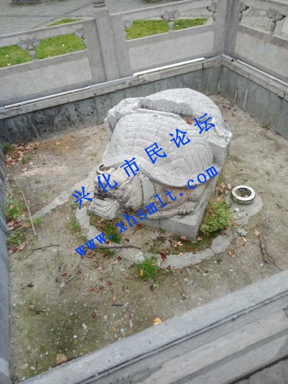 IMG20210331095148.jpg