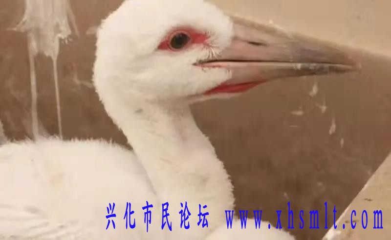 01.jpg