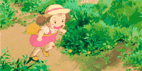 11.gif