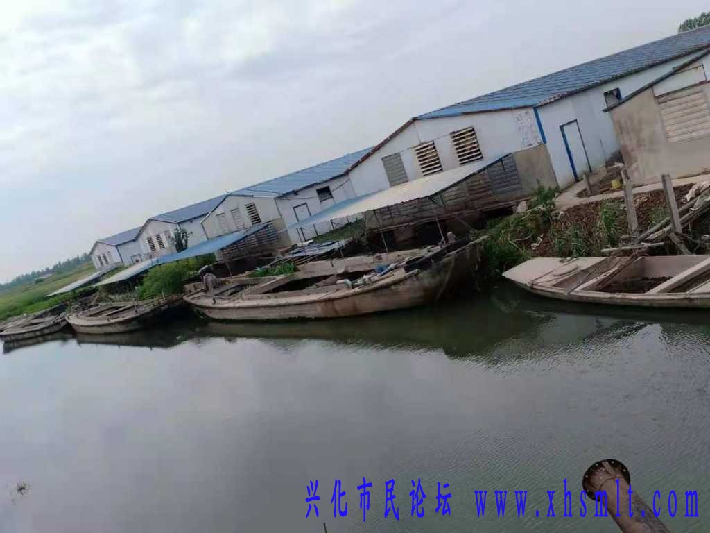 mmexport1620288962106.jpg