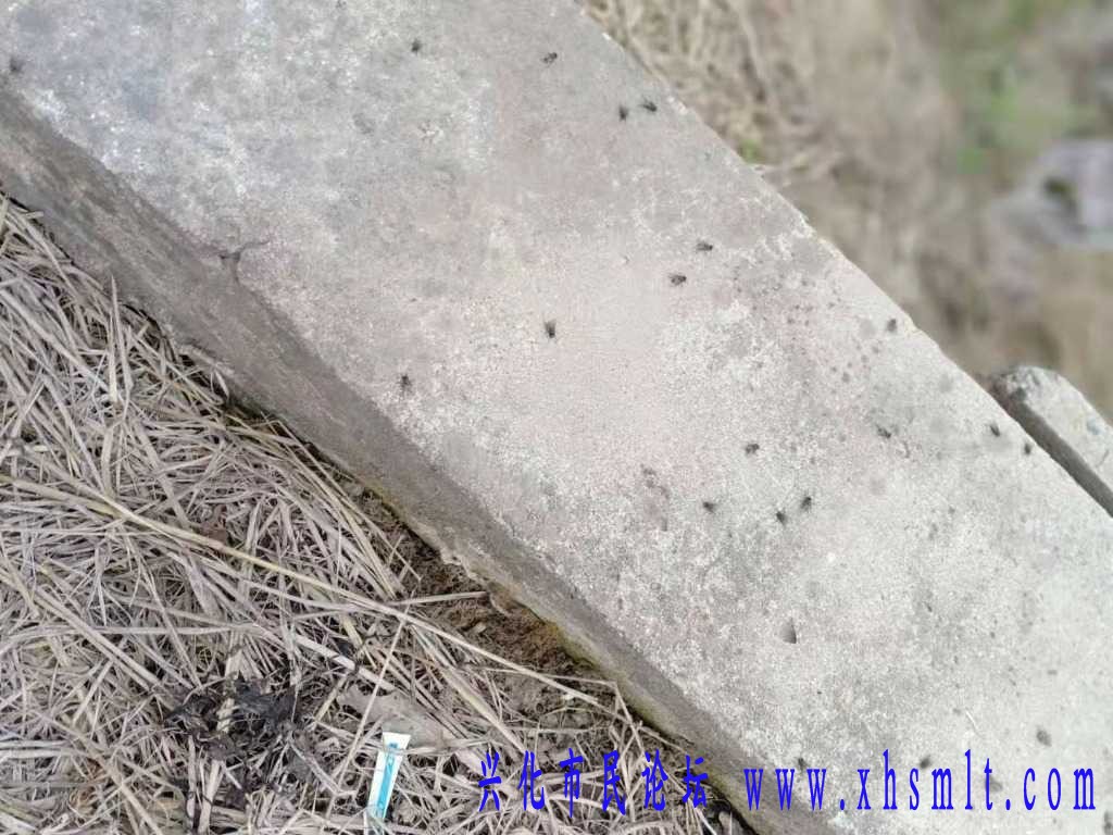 mmexport1620288972751.jpg