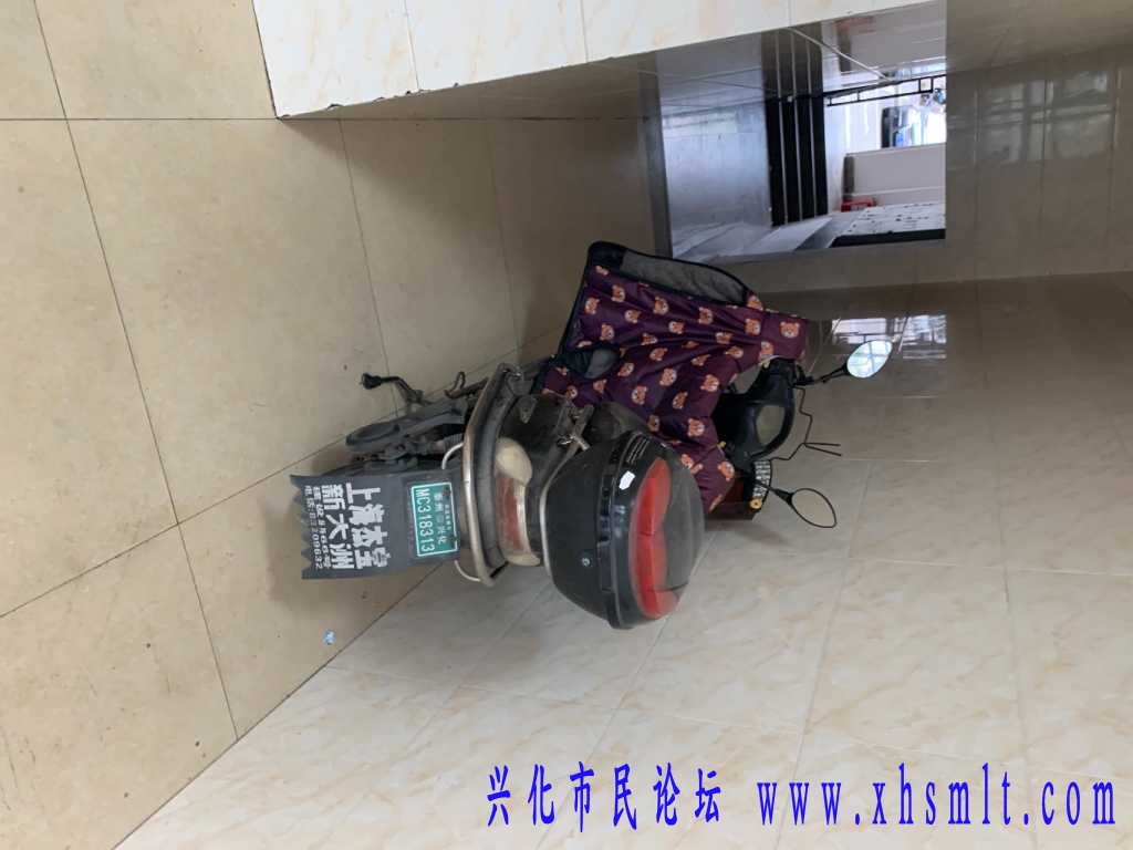 549D6863-5115-4CEF-8588-2B7B64916053.jpeg