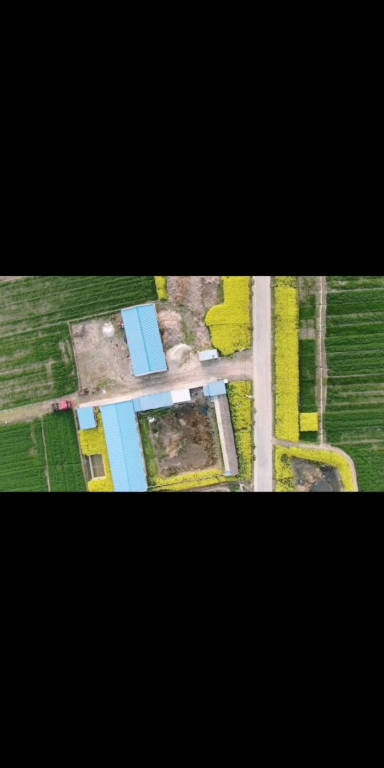 Screenshot_20210518_133304_com.huawei.himovie.jpg