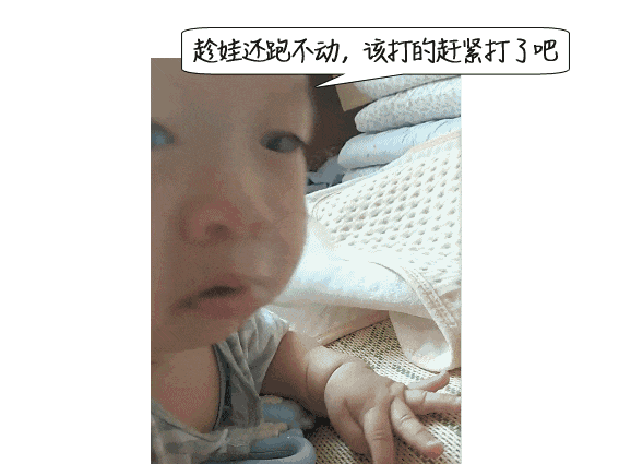 02.gif