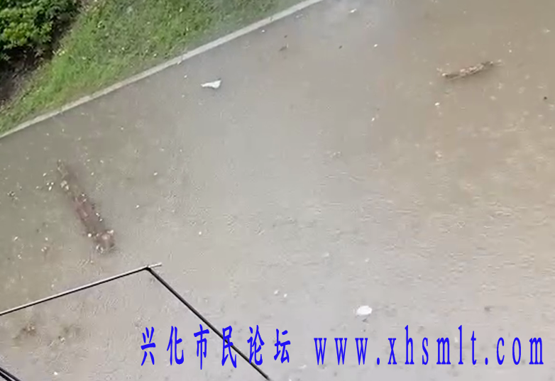 1626427874(1).png