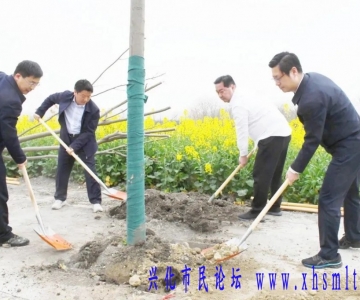 市四套班子领导参加义务植树活动