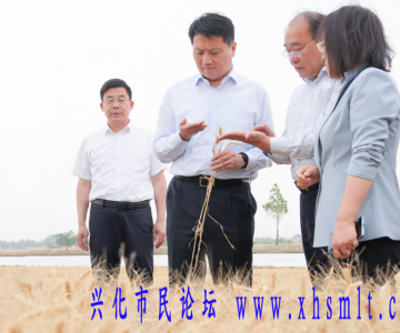 姜冬冬来兴专题调研夏收夏种及乡村全面振兴工作