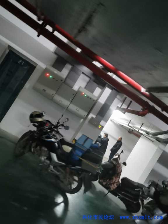 IMG_20201227_162530.jpg