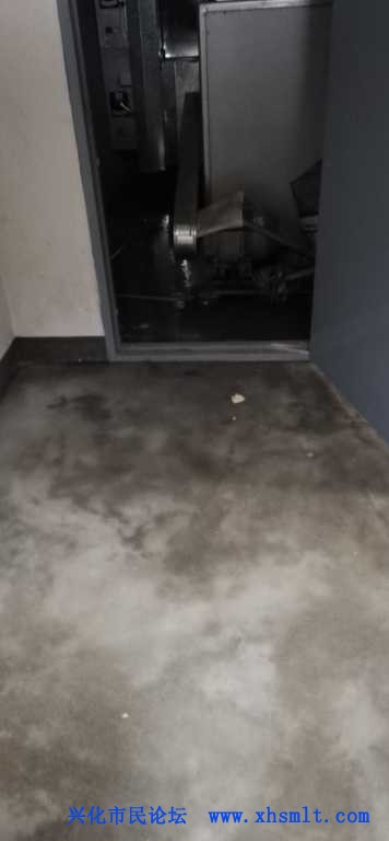 mmexport1610208572597.jpg