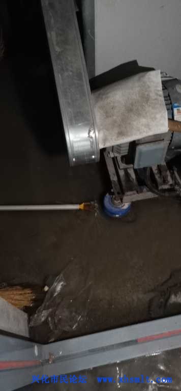 mmexport1610208550620.jpg