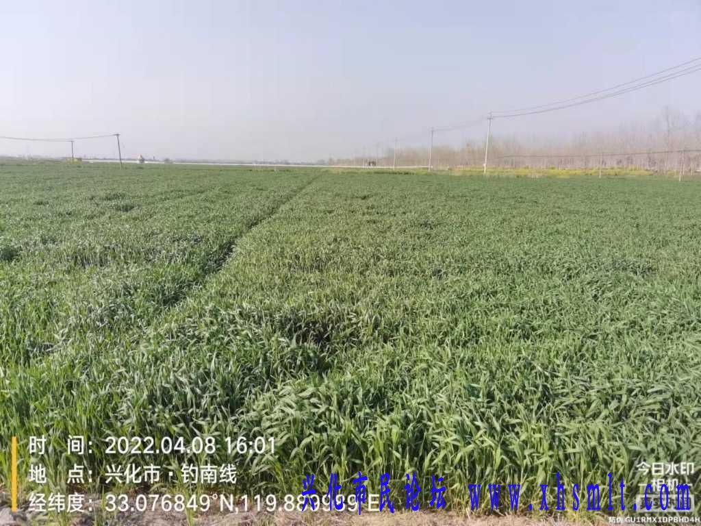 D42B7612-CD12-4987-B6DB-7A415486EFE7.jpeg