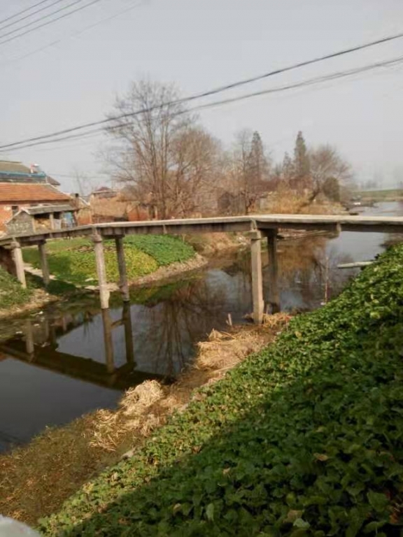 村中的小桥1.jpg