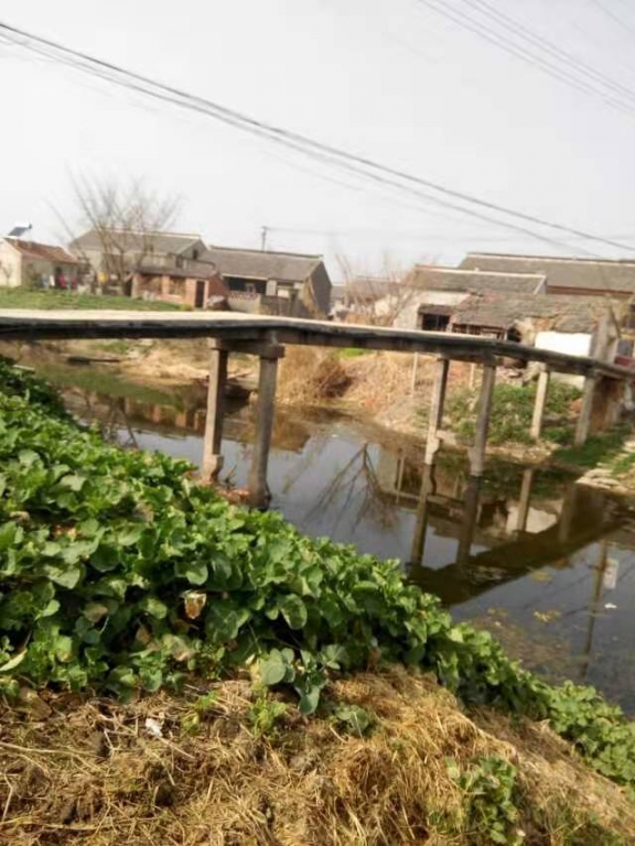 村中的小桥2.jpg