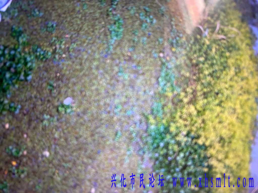 990D7DA6-CE7E-4F00-94E6-E29A2D3DA258.jpeg