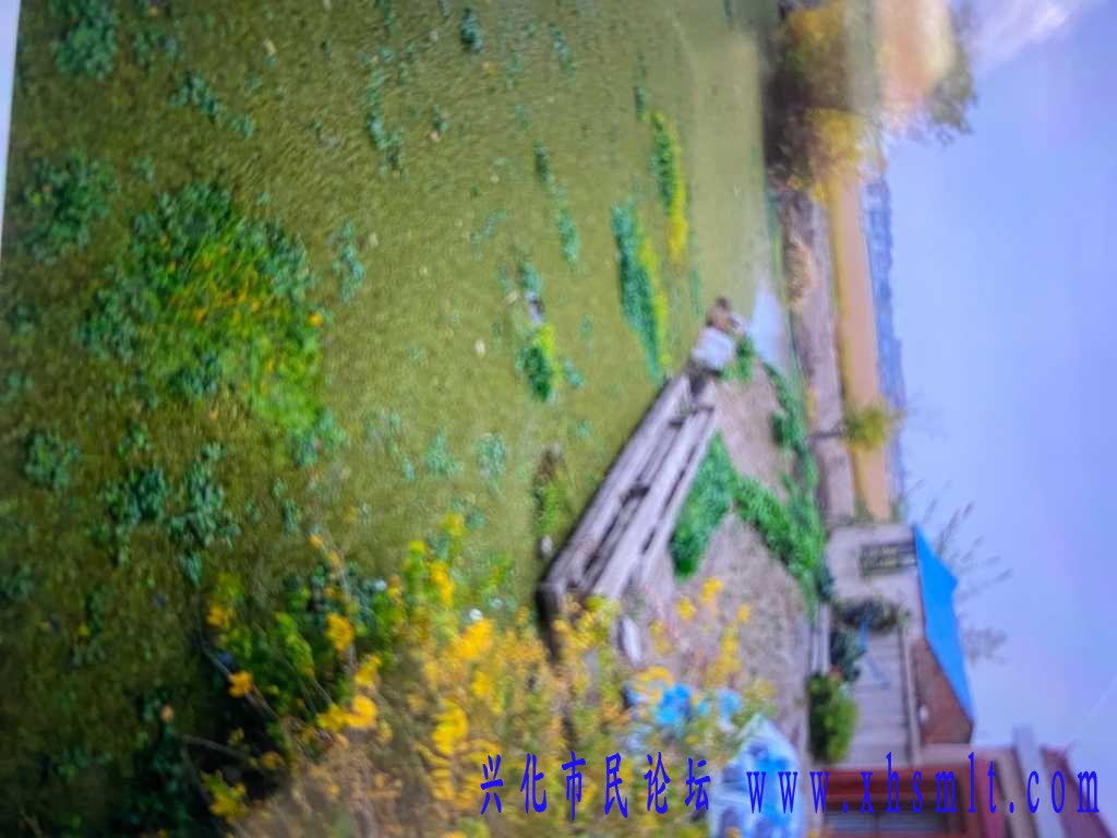 DD937BBB-DE88-4DFE-8C91-675E9CD7CAB7.jpeg