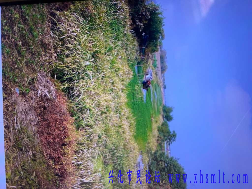 F0E1299B-4058-4799-9378-2720B2E71340.jpeg
