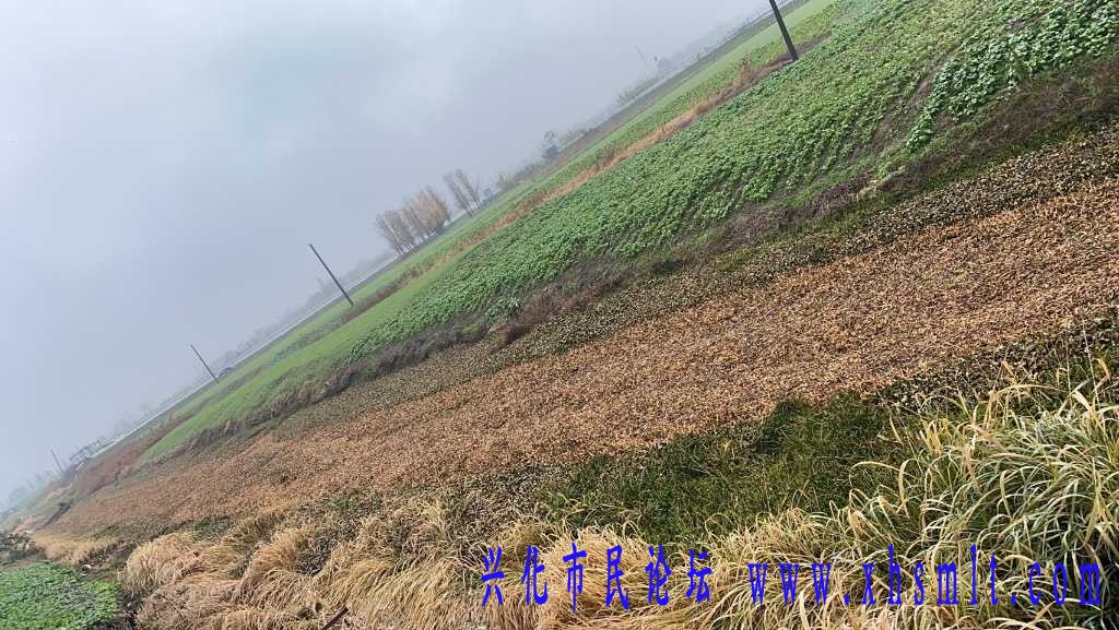 339FA1C8-6B06-4EA3-8FED-B51446B63CF8.jpeg