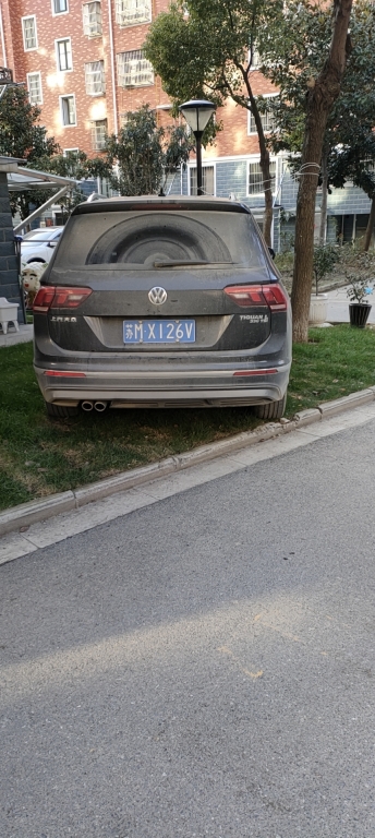 555.jpg