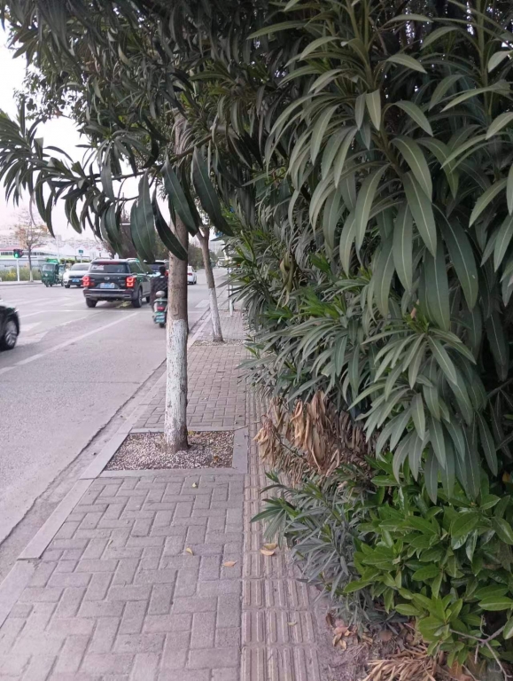 微信图片_20230415173304.jpg