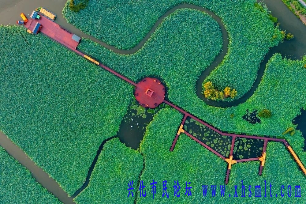 02.jpg