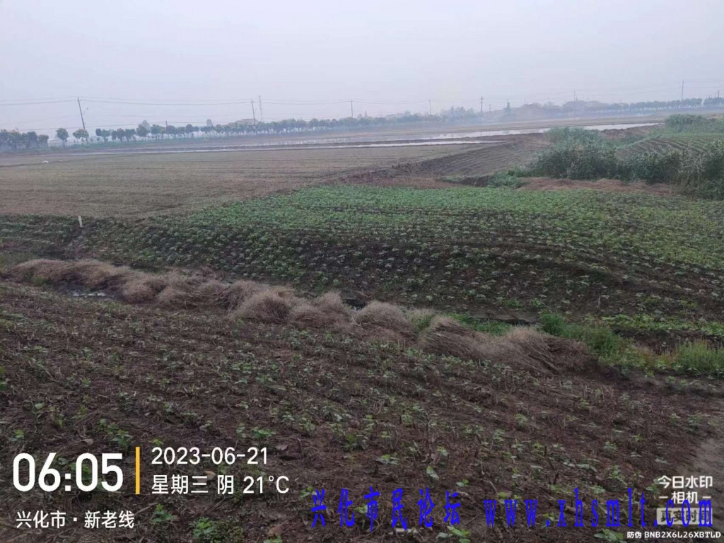 微信图片_20230621091803.jpg