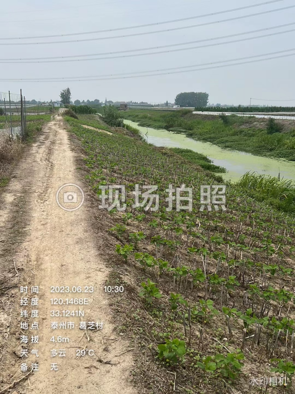 图片4.png
