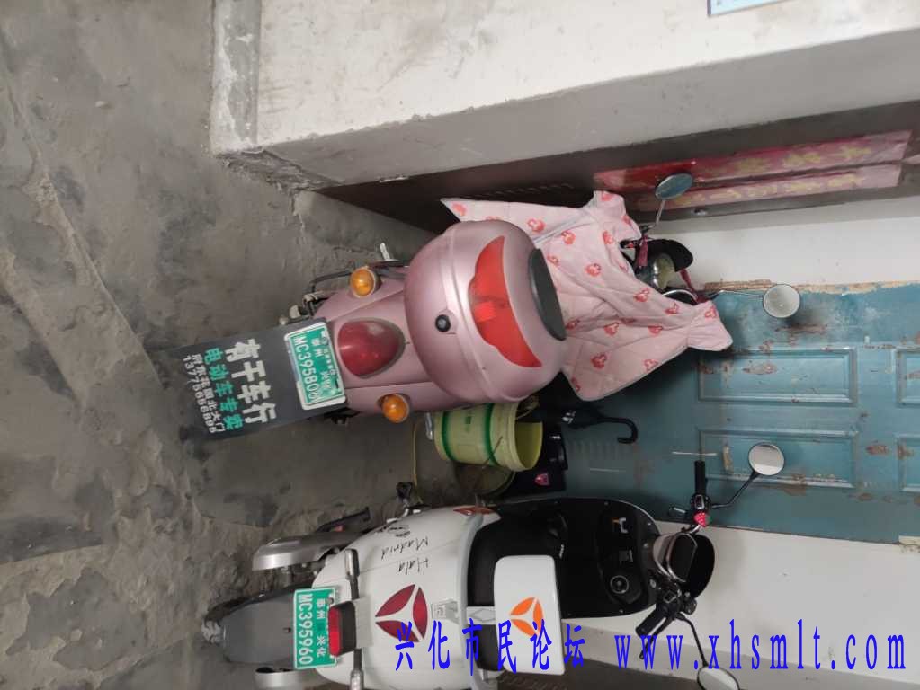 IMG_20230624_100824.jpg