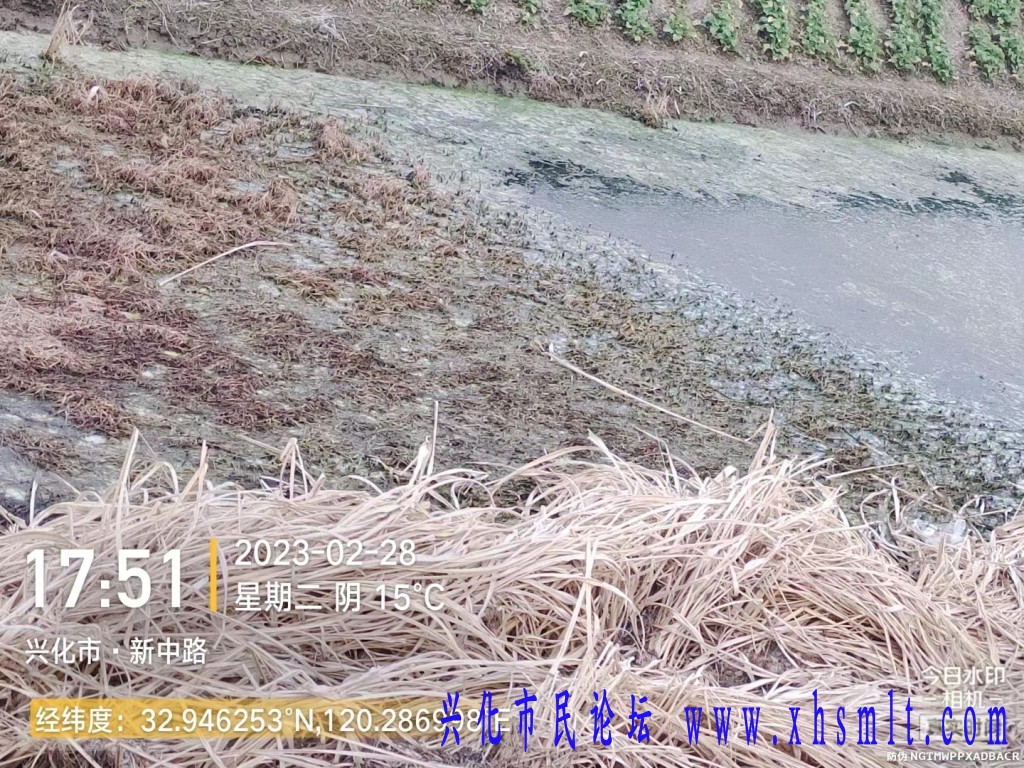 河道环境污染