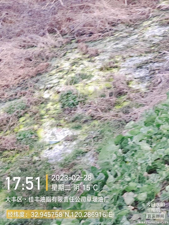 河道环境污染