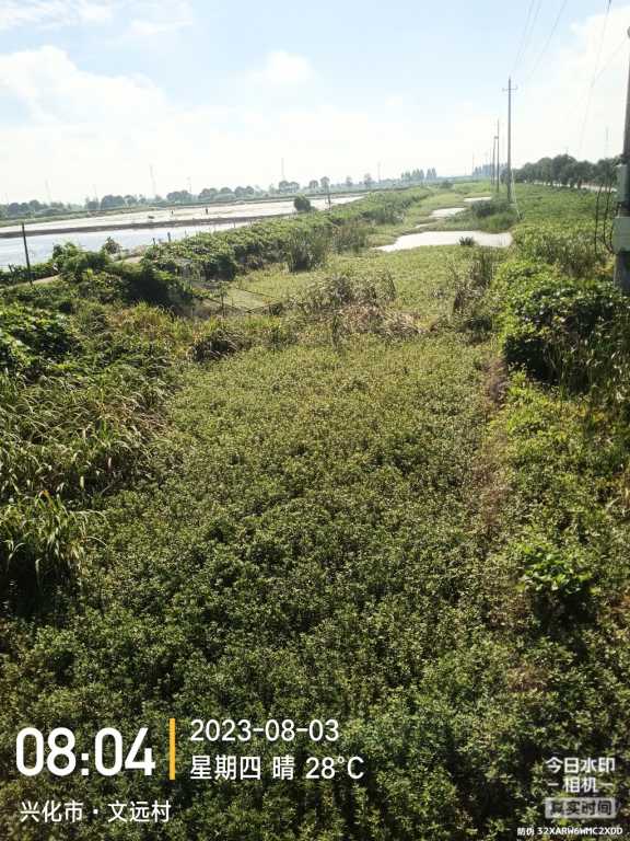IMG_20230803_080409904.jpg