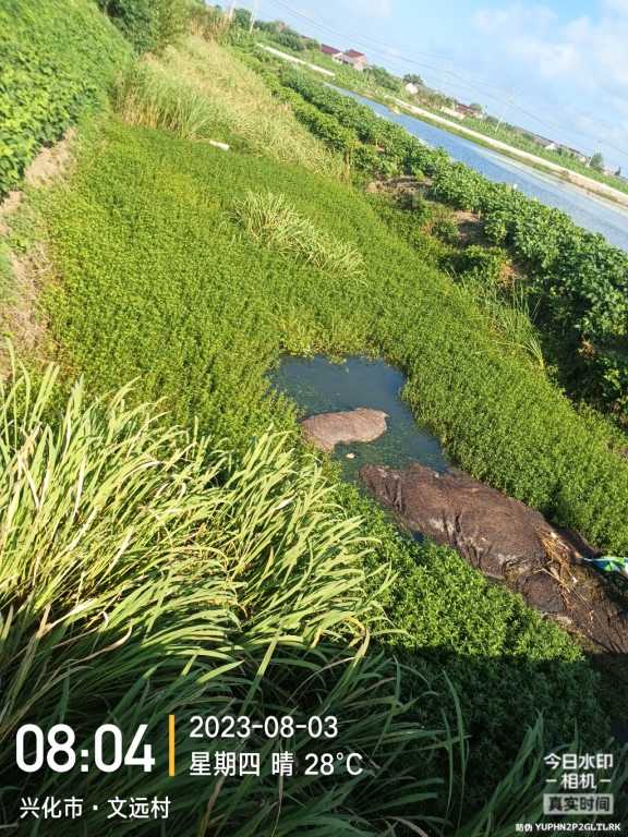 IMG_20230803_080414318.jpg