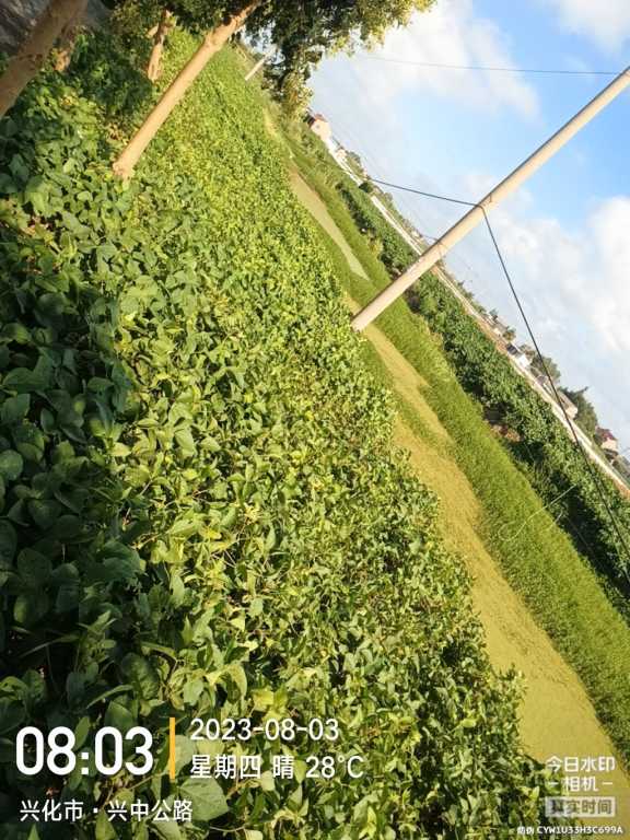 IMG_20230803_080325958.jpg