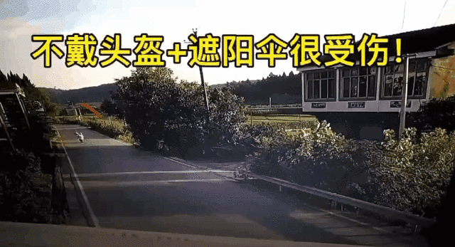 03.gif