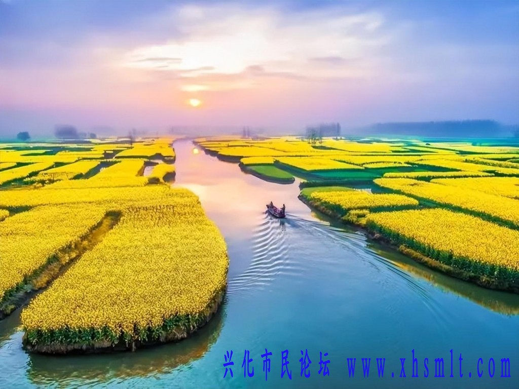 23215b4a5f2144f9a0602b1905b66c8e_noop.jpg
